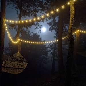 Hussey Mtn. Tree Farm (Ledgewood)