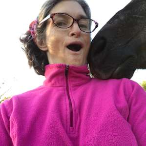 The group of horses just walked up to me when I went into the pasture. Amazing feeling!