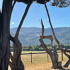 Cornerstone Ranch on the RogueRiver