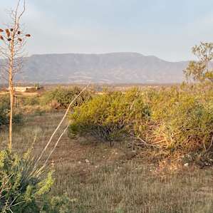 Mingus Mountain in the morning.