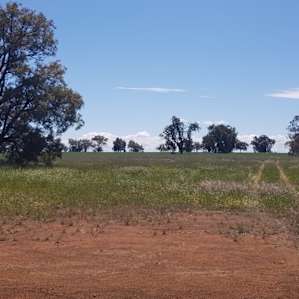 The view towards the fields
