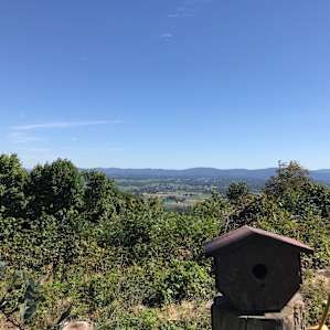 Bird house w/ a view.