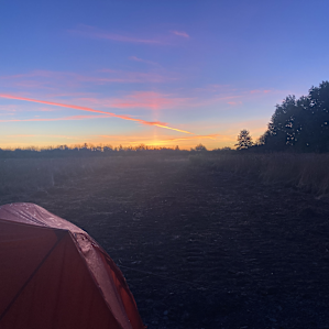 Incredible morning