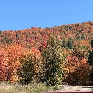 This is some of the view from up by the goats. 4th weekend of September.