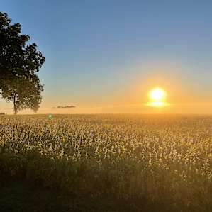 Amazing sunrise.