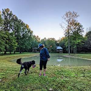 View from campsite - morning and happy dog