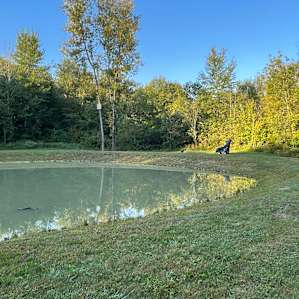 Beautiful pond in the morning, look out for the gator 😂
