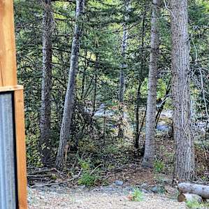 Creek behind the cabin