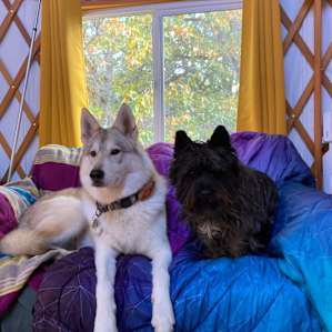 Columbia Gorge Yurt