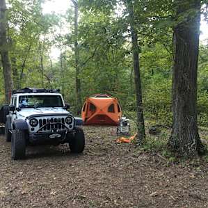 Bigfoot Camp, Secluded Tent Site