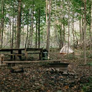 Back in the woods is where the tent camping is, it's quiet, private, and very open.