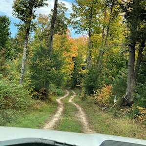 The sites are not to far back off the road but far enough not to be bothered.