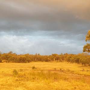 View looking east at sunset.