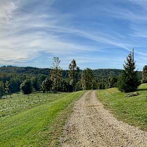 Rustic Camping in Turkey Hollow