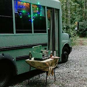 We set up our twinkly lights for a bit of a nightlight. But turn them off and you can see the stars through the trees!