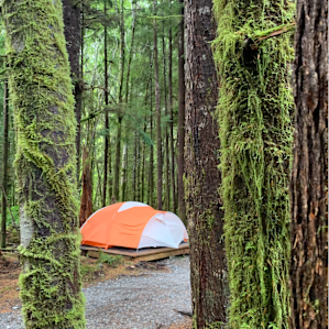 Olympic Rainforest retreat camp 4b