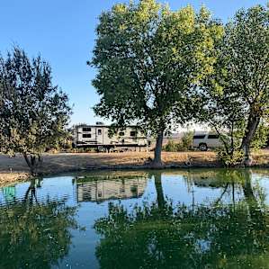 Vineyard Camping