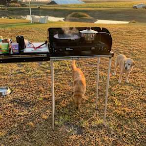 Perfect spot for brekky