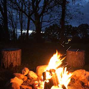 Pioneer Trails Tree Farm