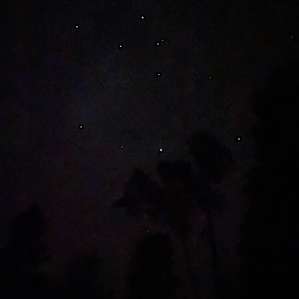 the night sky ⭐️