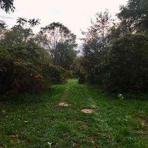 Gypsy camp 2