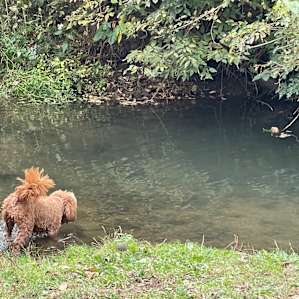 private creek site