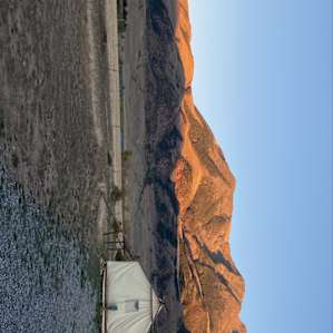Yellowstone Dreamin Camp