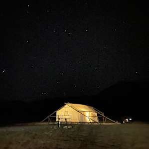 Yellowstone Dreamin Camp