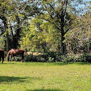 Horse Farm Camping