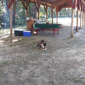 Our pup loved all the open space