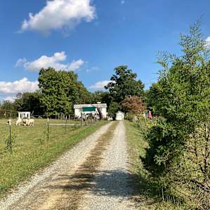 Brookhaven Mill Farm-Sleep w/Sheep!