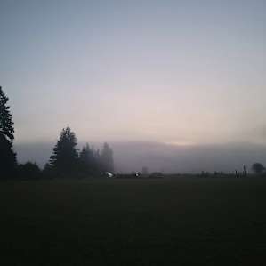 Early morning view.