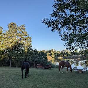 Countryside horse farm