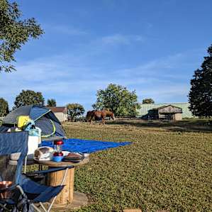 Countryside horse farm