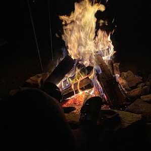 Triple Dream Farm Campsite