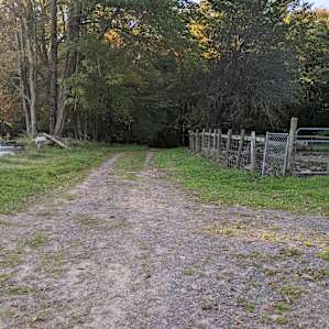 Road to campsites