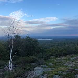 Hussey Mtn. Tree Farm (The Ridge)