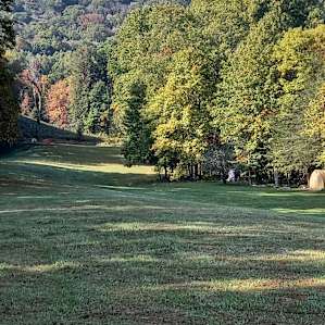 Nice big backyard!
