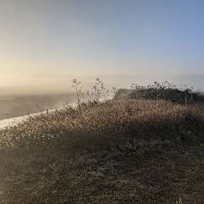 Morning view from our van at Egrets Nest. Mist rising off the water