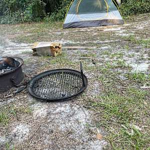 Camp Catfish