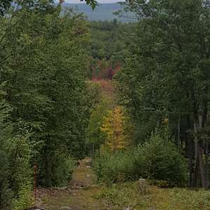 Trail leading back from Ledgewood site