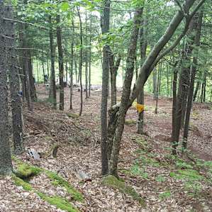 Ledgewwod site - from the trail leading in