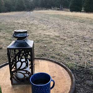 Roots Rise Camper