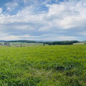 Archdale Meadows (we are open!)