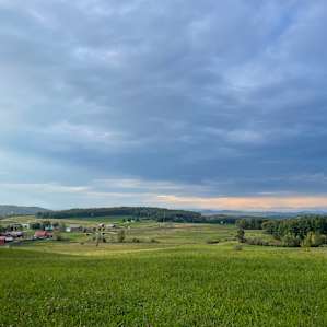 Archdale Meadows (we are open!)