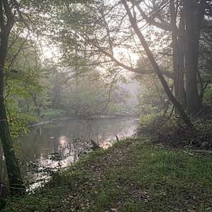 Morning smog over the creek