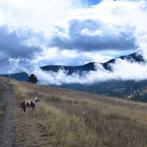 We loved hiking Mount Sentinel right outside of our camper door. The hill was killer, but the views are worth it! We made it up to the clouds!