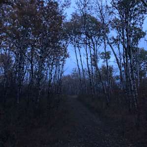Wild Roots Retreat