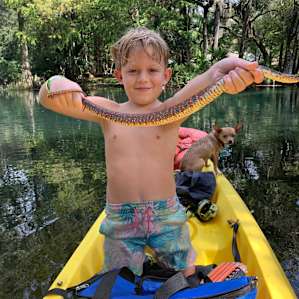 Florida water snake at 🌈 river