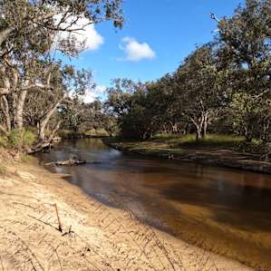 Down by the river. Camp was a few metres to the left.